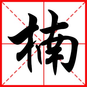 带楠字的男孩名字，用楠字起名