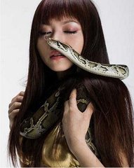 孕妇做梦梦见蛇缠身