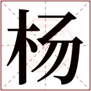 杨字五行属什么 杨字在康熙字典里多少画 杨字起名的寓意含义